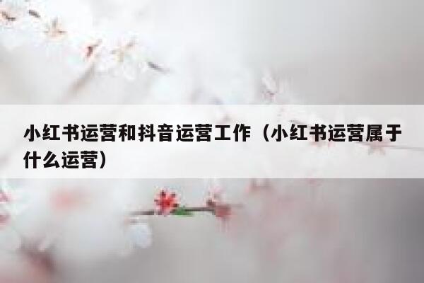 小红书运营和抖音运营工作(小红书运营属于什么运营) 小红书运营和抖音运营工作(小红书运营属于什么运营)