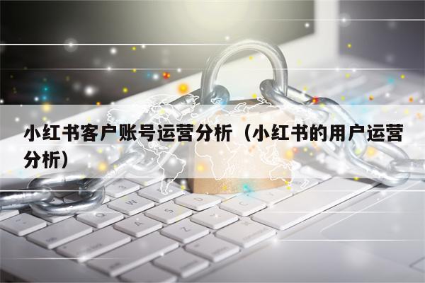 小红书客户账号运营分析(小红书的用户运营分析) 小红书客户账号运营分析(小红书的用户运营分析)