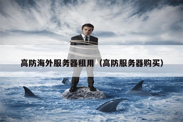高防海外服务器租用(高防服务器购买) 高防海外服务器租用(高防服务器购买)