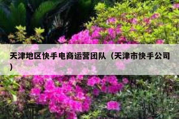 天津地区快手电商运营团队（天津市快手公司）