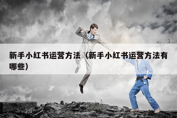 新手小红书运营方法（新手小红书运营方法有哪些）