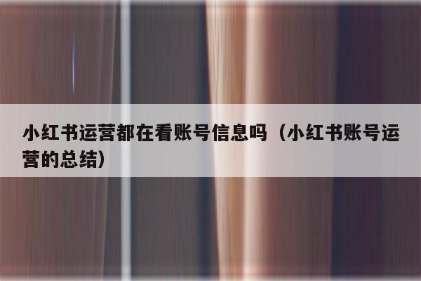 小红书运营都在看账号信息吗（小红书账号运营的总结）