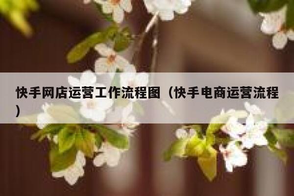 快手网店运营工作流程图（快手电商运营流程）