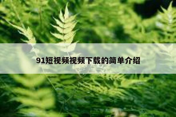 91短视频视频下载的简单介绍