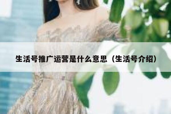 生活号推广运营是什么意思(生活号介绍)