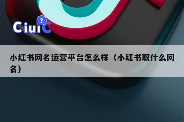 小红书网名运营平台怎么样(小红书取什么网名)