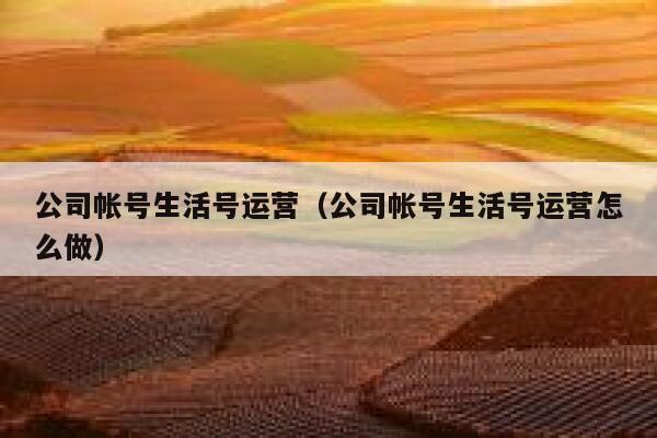 公司帐号生活号运营（公司帐号生活号运营怎么做）