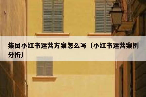 集团小红书运营方案怎么写（小红书运营案例分析）