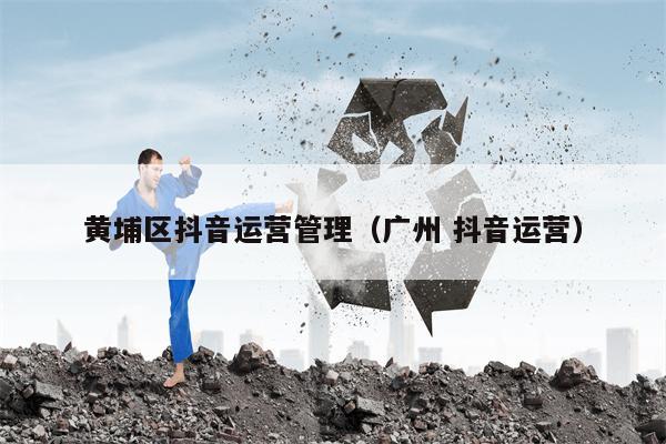 黄埔区抖音运营管理（广州 抖音运营）