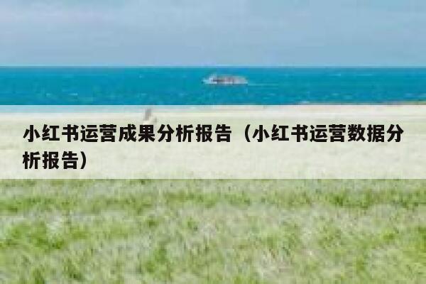 小红书运营成果分析报告（小红书运营数据分析报告）