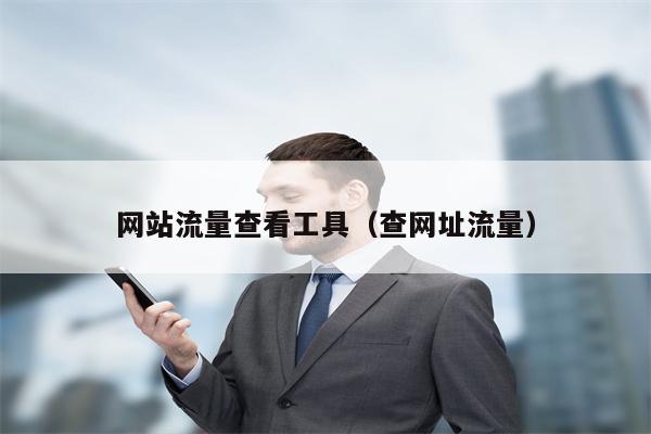 网站流量查看工具（查网址流量）