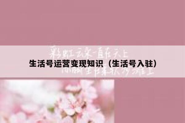 生活号运营变现知识（生活号入驻）