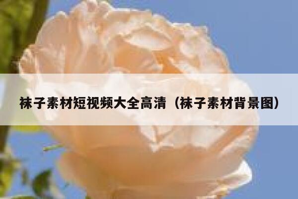 袜子素材短视频大全高清（袜子素材背景图）