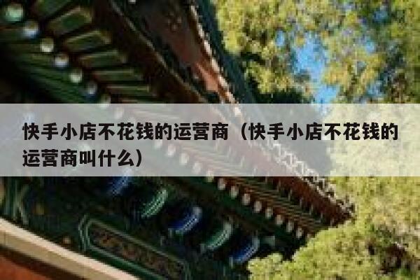 快手小店不花钱的运营商（快手小店不花钱的运营商叫什么）