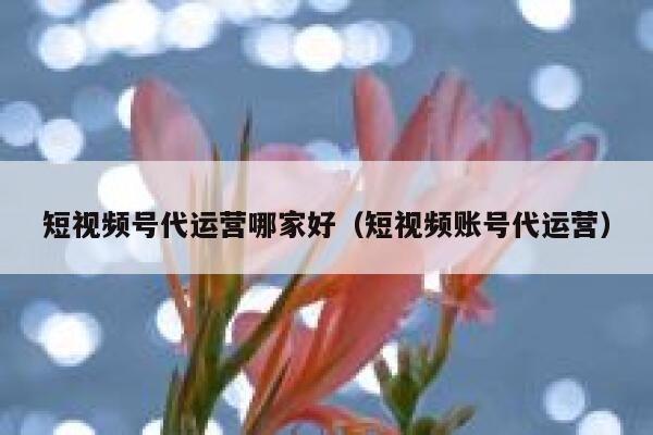 短视频号代运营哪家好（短视频账号代运营）