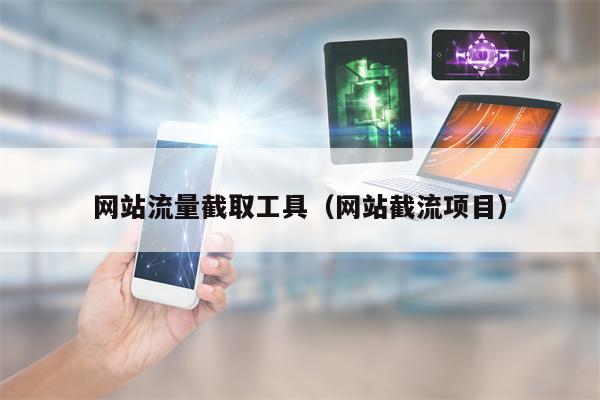 网站流量截取工具（网站截流项目）