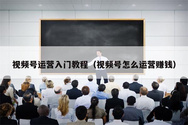 视频号运营入门教程（视频号怎么运营赚钱）