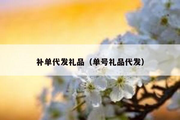 补单代发礼品（单号礼品代发）
