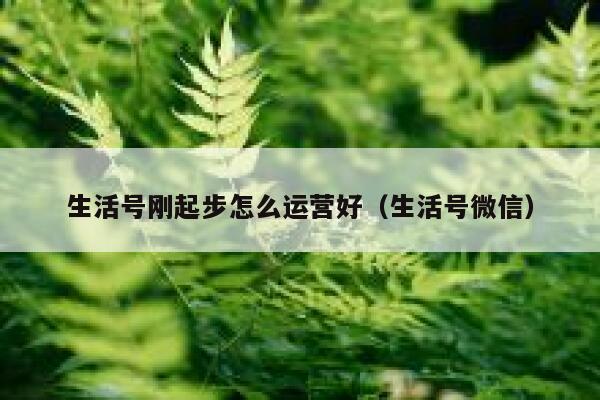 生活号刚起步怎么运营好（生活号微信）