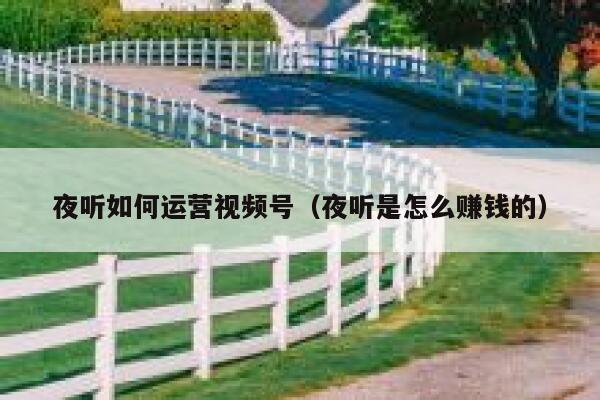 夜听如何运营视频号（夜听是怎么赚钱的）