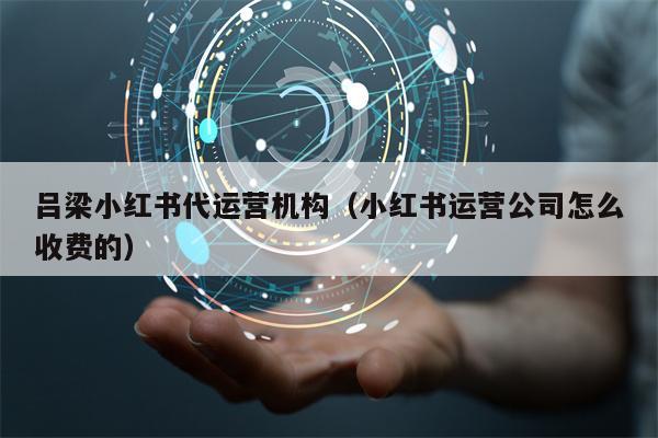 吕梁小红书代运营机构(小红书运营公司怎么收费的)