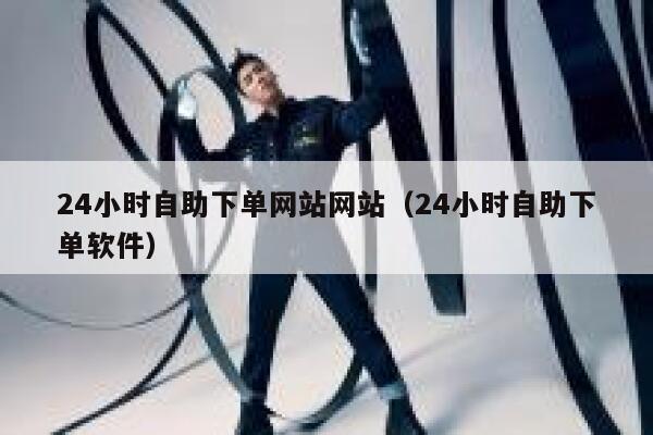 24小时自助下单网站网站（24小时自助下单软件）