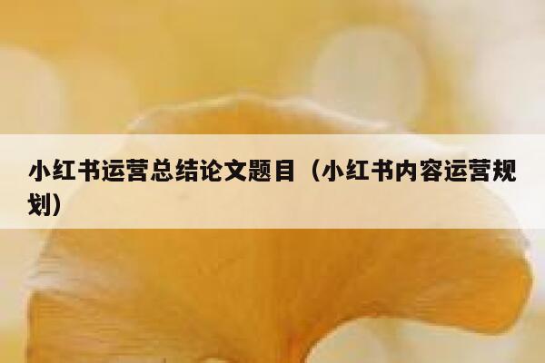 小红书运营总结论文题目（小红书内容运营规划）