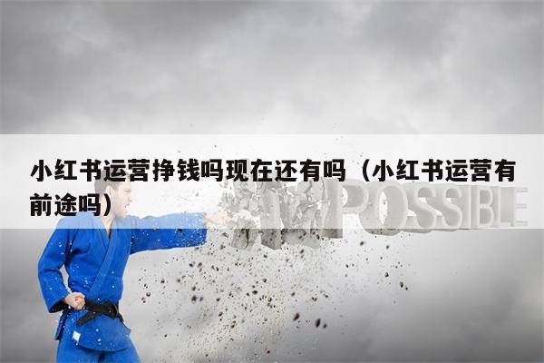 小红书运营挣钱吗现在还有吗（小红书运营有前途吗）