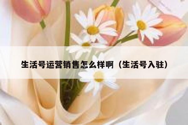 生活号运营销售怎么样啊（生活号入驻）