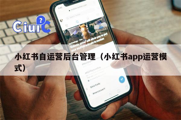 小红书自运营后台管理（小红书app运营模式）