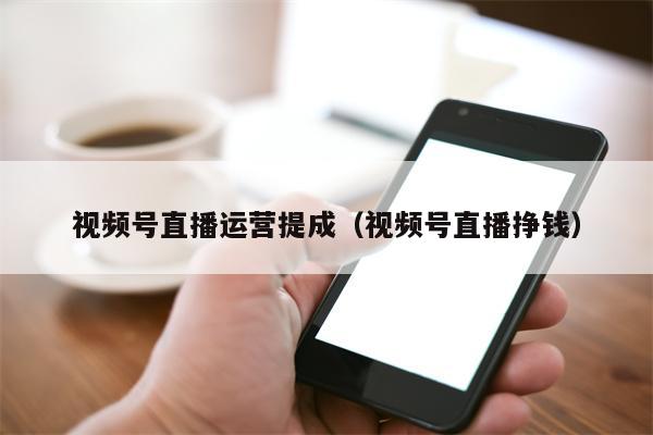 视频号直播运营提成（视频号直播挣钱）