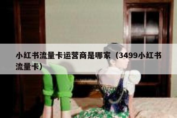 小红书流量卡运营商是哪家（3499小红书流量卡）