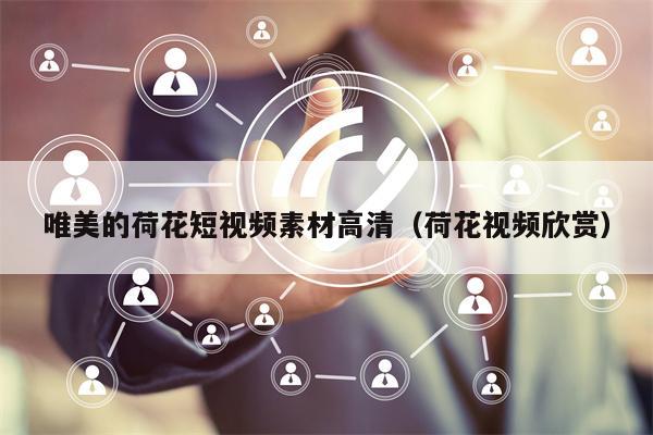 唯美的荷花短视频素材高清（荷花视频欣赏）