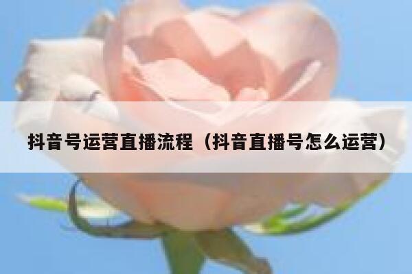 抖音号运营直播流程（抖音直播号怎么运营）