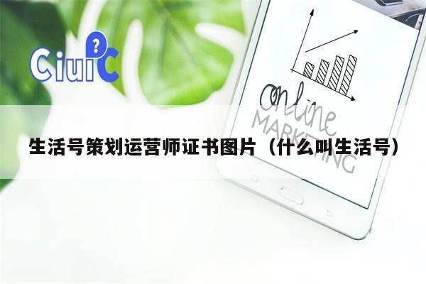 生活号策划运营师证书图片（什么叫生活号）