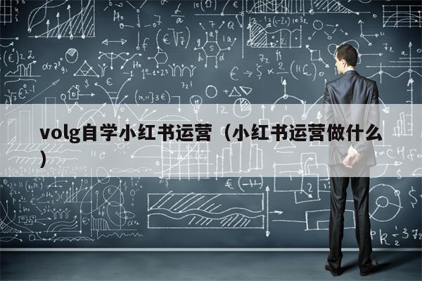 volg自学小红书运营（小红书运营做什么）
