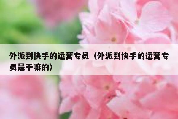 详细阅读:外派到快手的运营专员(外派到快手的运营专员是干嘛的) 外派到快手的运营专员(外派到快手的运营专员是干嘛的)