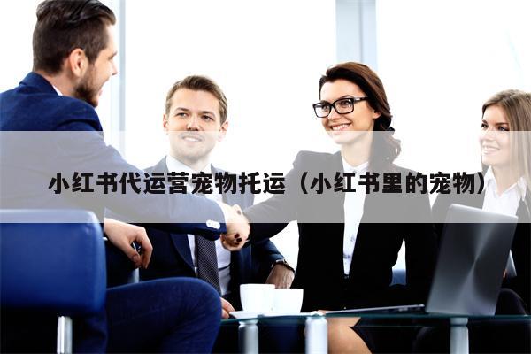 小红书代运营宠物托运（小红书里的宠物）