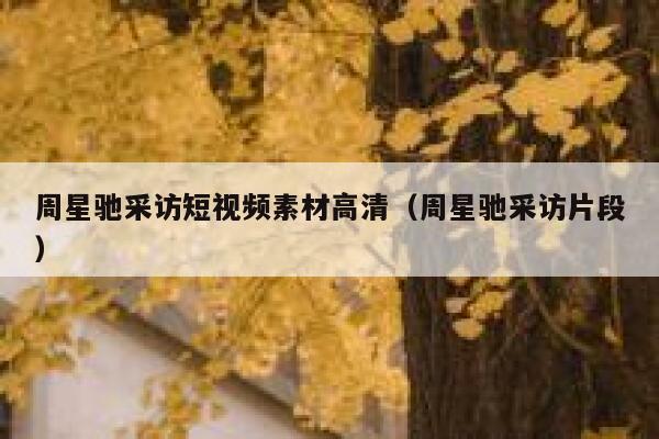 周星驰采访短视频素材高清（周星驰采访片段）