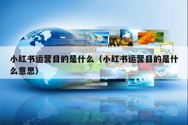 小红书运营目的是什么（小红书运营目的是什么意思）