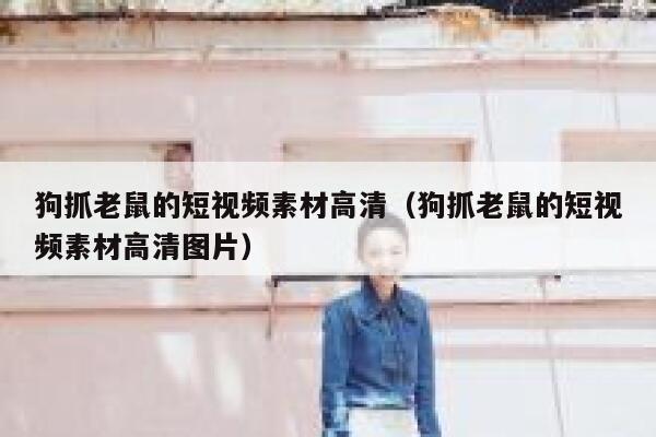 狗抓老鼠的短视频素材高清（狗抓老鼠的短视频素材高清图片）