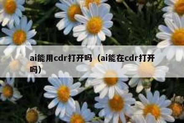 ai能用cdr打开吗（ai能在cdr打开吗）