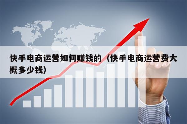 快手电商运营如何赚钱的（快手电商运营费大概多少钱）