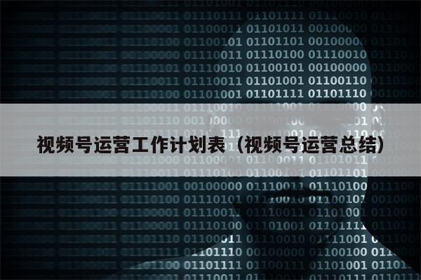视频号运营工作计划表（视频号运营总结）