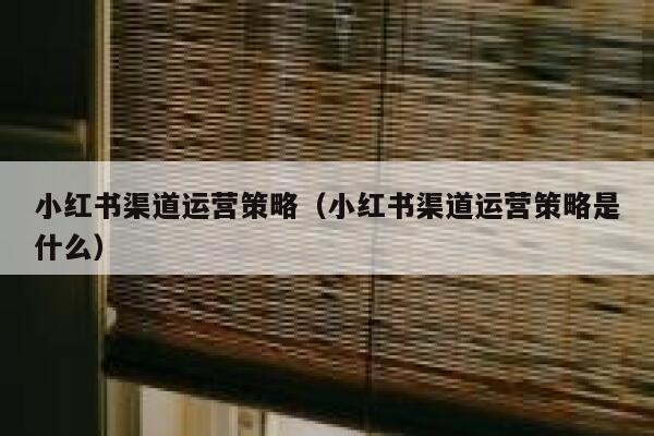 小红书渠道运营策略（小红书渠道运营策略是什么）