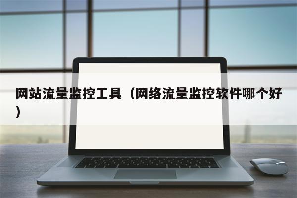 网站流量监控工具（网络流量监控软件哪个好）