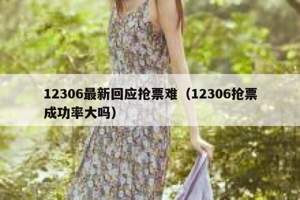 12306最新回应抢票难（12306抢票成功率大吗）