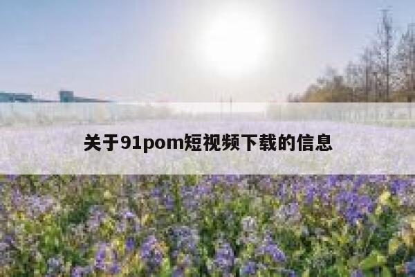 关于91pom短视频下载的信息