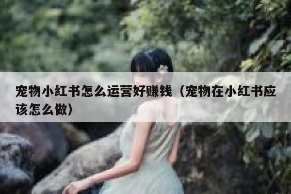 宠物小红书怎么运营好赚钱（宠物在小红书应该怎么做）