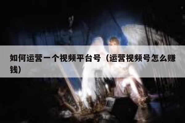 详细阅读:如何运营一个视频平台号(运营视频号怎么赚钱) 如何运营一个视频平台号(运营视频号怎么赚钱)